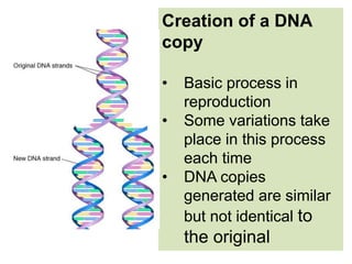 How Dna Copy Std10 Ch12-Life-cycle | PPTX