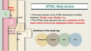 Std 10 Chapter 2 Head and Body Sections in HTML (Part 2- Body section ...