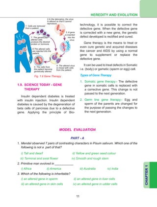 CHAPTER1
11
Fig. 1.9 Gene Therapy
1. Cells are removed
from a patient.
2.In the laboratory, the virus
is altered so that it cannot
reproduce.
4. The altered virus
is mixed with cells
from the patient.
5. The cells from
the patient become
genetically altered.
6.The altered cells
are injected into the
patient.
7. The genetically
altered cells
produce the desired
protein or hormone.
1.9. SCIENCE TODAY - GENE
THERAPY
Insulin dependent diabetes is treated
with insulin injection. Insulin dependent
diabetes is caused by the degeneration of
beta cells of pancreas due to a defective
gene. Applying the principle of Bio-
technology, it is possible to correct the
defective gene. When the defective gene
is corrected with a new gene, the genetic
defect developed is rectified and cured.
Gene therapy is the means to treat or
even cure genetic and acquired diseases
like cancer and AIDS by using a normal
gene to supplement or replace the
defective gene.
It can be used to treat defects in Somatic
i.e. (body) or gametic (sperm or egg) cell.
Types of Gene Therapy
1.	 Somatic gene therapy:- The defective
gene in somatic cells is replaced with
a corrective gene. This change is not
passed to the next generation.
2.	 Germ line gene therapy:- Egg and
sperm of the parents are changed for
the purpose of passing the changes to
the next generation.
3. A gene
is inserted
into the
virus.
MODEL EVALUATION
PART - A
1.	Mendel observed 7 pairs of contrasting characters in Pisum sativum. Which one of the
following is not a part of that?
i) Tall and dwarf ii) Yellow and green seed colour
iii) Terminal and axial flower iv) Smooth and rough stem
2. 	Primitive man evolved in ___________
i) Africa ii) America  iii) Australia iv) India
3. 	Which of the following is inheritable?
i) an altered gene in sperm ii) an altered gene in liver cells
iii) an altered gene in skin cells iv) an altered gene in udder cells
HEREDITY AND EVOLUTION
 