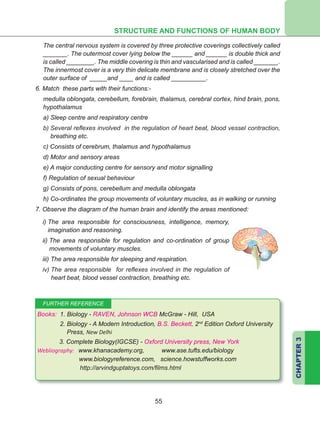 STRUCTURE AND FUNCTIONS OF HUMAN BODY
CHAPTER3
55
The central nervous system is covered by three protective coverings collectively called
_______. The outermost cover lying below the ______ and ______ is double thick and
is called ________. The middle covering is thin and vascularised and is called _______.
The innermost cover is a very thin delicate membrane and is closely stretched over the
outer surface of _____and ____ and is called __________.
6. Match these parts with their functions:-
medulla oblongata, cerebellum, forebrain, thalamus, cerebral cortex, hind brain, pons,
hypothalamus
a) Sleep centre and respiratory centre
b) Several reflexes involved in the regulation of heart beat, blood vessel contraction,
breathing etc.
c) Consists of cerebrum, thalamus and hypothalamus
d) Motor and sensory areas
e) A major conducting centre for sensory and motor signalling
f) Regulation of sexual behaviour
g) Consists of pons, cerebellum and medulla oblongata	
h) Co-ordinates the group movements of voluntary muscles, as in walking or running
7. Observe the diagram of the human brain and identify the areas mentioned:
Books: 1. Biology - RAVEN, Johnson WCB McGraw - Hill, USA
	 2. Biology - A Modern Introduction, B.S. Beckett, 2nd
Edition Oxford University
Press, New Delhi
		 3. Complete Biology(IGCSE) - Oxford University press, New York
Webliography: www.khanacademy.org, www.ase.tufts.edu/biology
www.biologyreference.com, science.howstuffworks.com
				 http://arvindguptatoys.com/films.html
FURTHER REFERENCE
i) The area responsible for consciousness, intelligence, memory,
imagination and reasoning.
ii) The area responsible for regulation and co-ordination of group
movements of voluntary muscles.
iii) The area responsible for sleeping and respiration.
iv) The area responsible for reflexes involved in the regulation of
heart beat, blood vessel contraction, breathing etc.
 