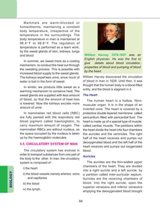 BIOLOGY
84
Mammals are warm-blooded or
homeotherms, maintaining a constant
body temperature, irrespective of the
temperature in the surroundings. The
body temperature in man is maintained at
98.4o
F to 98.6o
F. The regulation of
temperature is performed as a team work,
by the sweat glands of skin, kidneys, lungs
and blood.
In summer, we sweat more as a cooling
mechanism, to conduct the heat out through
the sweating process. This is possible with
increased blood supply to the sweat glands.
The kidneys expel less urine, since much of
water is lost in the form of sweat.
In winter, we produce little sweat as a
warming mechanism to conserve heat. The
sweat glands are supplied with less amount
of blood, so that the amount of heat loss
is lowered. Now the kidneys ­excrete more
amount of urine.
In mammalian red blood cells (RBC)
are fully packed with the respiratory red
blood pigment called haemoglobin, to
carry maximum amount of oxygen. The
mammalian RBCs are without nucleus, as
the space occupied by the nucleus is taken
up by the haemoglobin molecules.
5.5. CIRCULATORY SYSTEM OF MAN
The circulatory system has evolved in
order to transport substances from one part of
the body to the other. In man, the circulatory
system is composed of :
i) 	the heart
ii) the blood vessels namely arteries, veins
and capillaries
iii) the blood
iv) the lymph.
William Harvey discovered the circulation
of blood in man in 1628. Until then, it was
thought that the human body is a blood-filled
entity, and the blood is stagnant in it.
The Heart
The human heart is a hollow, fibro-
muscular organ. It is in the shape of an
inverted cone. The heart is covered by a
protective double layered membrane called
pericardium filled with pericardial fluid. The
heart is made up of a special type of muscle,
called ­cardiac muscle. The partitions within
the heart divide the heart into four chambers
the ­auricles and the ventricles. The right
half of the heart receives and pumps out
deoxygenated blood and the left half of the
heart receives and pumps out oxygenated
blood.
Auricles
The auricles are the thin-walled upper
chambers of the heart. They are divided
into a right auricle and a left auricle, by
a partition called inter-auricular septum.
Auricles are the receiving chambers of
blood. Into the right auricle, open the
superior venacava and inferior venacava
emptying the deoxygenated blood brought
William Harvey 1578-1657 was an
English physician. He was the first to
give details about blood circulation,
properties of blood and pumping of blood
by the heart.
 