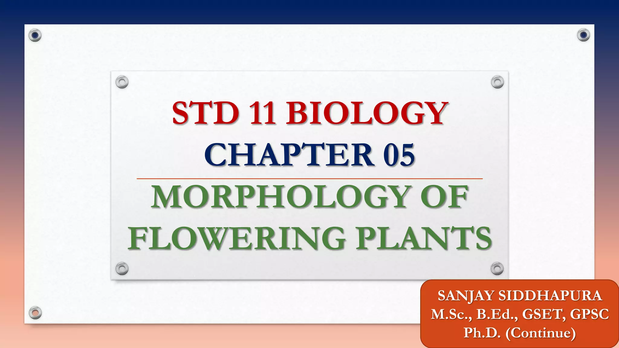 Std 11 Biology Chapter 05 Pptx
