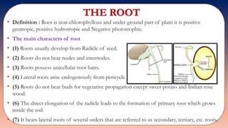 Std 11 biology chapter 05 | PPTX