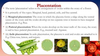 Std 11 biology chapter 05 | PPTX
