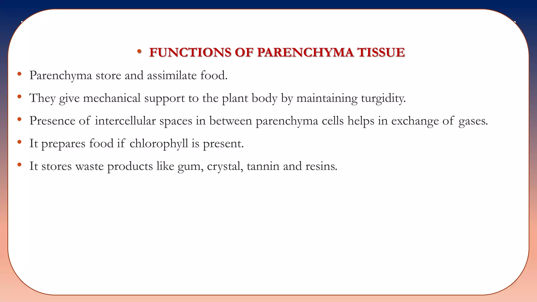 • FUNCTIONS OF PARENCHYMA TISSUE
• Parenchyma store and assimilate food.
• They give mechanical support to the plant body by maintaining turgidity.
• Presence of intercellular spaces in between parenchyma cells helps in exchange of gases.
• It prepares food if chlorophyll is present.
• It stores waste products like gum, crystal, tannin and resins.
 