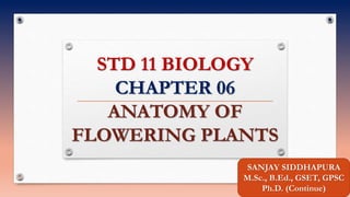 STD 11 BIOLOGY
CHAPTER 06
ANATOMY OF
FLOWERING PLANTS
SANJAY SIDDHAPURA
M.Sc., B.Ed., GSET, GPSC
Ph.D. (Continue)
 
