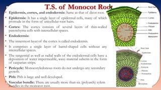 Std 11 biology chapter 06 | PPTX