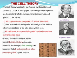 THE CELL THEORY
Theodor Schwan
M J Schleiden
The cell theory was jointly put forward by Schleiden and
Schwann (1839) in their paper “Microscopic investigations
on the similarity of structure and growth in animals and
plants” : As follows
1) All organisms are composed of one or more cells .
2)Cells are the basic living units within organisms and the
chemical reactions of life take place within cells.
3)All cells arise from pre existing cells by division and are
not formed de novo
In 1855, a German medical doctor
named Rudolph Virchow observed,
under the microscope, cells dividing. He
reasoned that all cells come from other
pre-existing cells by cell division
 
