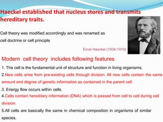 Haeckel established that nucleus stores and transmits
hereditary traits.
Cell theory was modified accordingly and was renamed as
cell doctrine or cell principle
Ernst Haeckel (1834-1919)
Modern cell theory includes following features
1. The cell is the fundamental unit of structure and function in living organisms.
2.New cells arise from pre-existing cells through division. All new cells contain the same
amount and degree of genetic information as contained in the parent cell
3. Energy flow occurs within cells.
4.Cells contain hereditary information (DNA) which is passed from cell to cell during cell
division.
5.All cells are basically the same in chemical composition in organisms of similar
species.
 