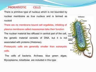 PROKARYOTIC CELLS
There is primitive type of nucleus which is not bounded by
nuclear membrane as true nucleus and is termed as
nucloid
There are no membrane bound cell orgalleles, infolding of
plasma membrane called mesosomes take their function
The nuclear material lies diffused in central part of the cell,
the genetic material consists of DNA, but it is not
associated with proteins (Histones).
Prokaryotic cells are generally smaller than eukaryotic
cells.
The cells of bacteria, Archaea, blue green algae,
Mycoplasma, rickettsiae are included in this type
 