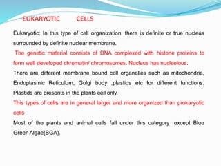 EUKARYOTIC CELLS
Eukaryotic: In this type of cell organization, there is definite or true nucleus
surrounded by definite nuclear membrane.
The genetic material consists of DNA complexed with histone proteins to
form well developed chromatin/ chromosomes. Nucleus has nucleolous.
There are different membrane bound cell organelles such as mitochondria,
Endoplasmic Reticulum, Golgi body ,plastids etc for different functions.
Plastids are presents in the plants cell only.
This types of cells are in general larger and more organized than prokaryotic
cells
Most of the plants and animal cells fall under this category except Blue
Green Algae(BGA).
 