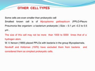 Some cells are even smaller than prokaryotic cell
Smallest known cell is of Mycoplasma gallisepticum (PPLO-Pleuro
Pneumonia like organism- a bacterium prokaryote ) Size – 0.1 µm -0.3 to 0.5
µm .
The size of this cell may not be more than 1000 to 5000 times that of a
hydrogen atom.
W. V. Iterson (1969) placed PPLOs with bacteria in the group Mycoplasmata.
Novikoff and Holtzman (1970) have excluded them from bacteria and
considered them as simplest prokaryotic cells.
OTHER CELL TYPES
 