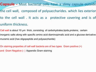 Capsule - Most bacterial cells have a slimy capsule outside
the cell wall, composed of polysaccharides. which lies exterior
to the cell wall . It acts as a protective covering and is of
uniform thickness.
Cell wall is about 10 µm thick, consisting of carbohydrates,lipids,proteins, certain
inorganic salts along with specific amino acid diaminopimalic acid and a glucose derivative
muramic acid (has oligopeptide and polysaccharide)
On staining properties of cell wall bacteria are of two types Gram positive (+)
and Gram Negative (- ) Appendix Gram staining
 