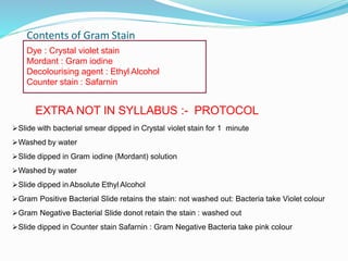 Contents of Gram Stain
Dye : Crystal violet stain
Mordant : Gram iodine
Decolourising agent : Ethyl Alcohol
Counter stain : Safarnin
EXTRA NOT IN SYLLABUS :- PROTOCOL
Slide with bacterial smear dipped in Crystal violet stain for 1 minute
Washed by water
Slide dipped in Gram iodine (Mordant) solution
Washed by water
Slide dipped in Absolute Ethyl Alcohol
Gram Positive Bacterial Slide retains the stain: not washed out: Bacteria take Violet colour
Gram Negative Bacterial Slide donot retain the stain : washed out
Slide dipped in Counter stain Safarnin : Gram Negative Bacteria take pink colour
 