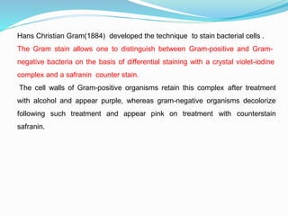 Hans Christian Gram(1884) developed the technique to stain bacterial cells .
The Gram stain allows one to distinguish between Gram-positive and Gram-
negative bacteria on the basis of differential staining with a crystal violet-iodine
complex and a safranin counter stain.
The cell walls of Gram-positive organisms retain this complex after treatment
with alcohol and appear purple, whereas gram-negative organisms decolorize
following such treatment and appear pink on treatment with counterstain
safranin.
 