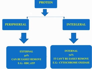 PROTEIN
INTEEGERAL
INTERNAL
70%
IT CAN’T BE EASILY REMOVE
E.G:- CYTOCHROME OXIDASE
EXTERNAL
30%
CAN BE EASILY REMOVE
E.G:- RBC,ATP
PERIPHEREAL
 