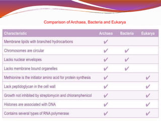 Comparison of Archaea, Bacteria and Eukarya
 
