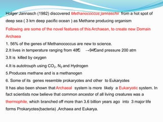 Holger Jannasch (1982) discovered Methanococcus jannaschii from a hot spot of
deep sea ( 3 km deep pacific ocean ) as Methane producing organism
Following are some of the novel features of this Archaean, to create new Domain
Archaea
1. 56% of the genes of Methanococcus are new to science.
2.It lives in temperature ranging from 48⁰
C →94⁰
Cand pressure 200 atm
3.It is killed by oxygen
4.It is autotrouph using CO2, N2 and Hydrogen
5.Produces methane and is a methanogen
6. Some of its genes resemble prokaryotes and other to Eukaryotes
It has also been shown that Archaeal system is more likely a Eukaryotic system. In
fact scientists now believe that common ancestor of all living creatures was a
thermophile, which branched off more than 3.6 billion years ago into 3 major life
forms Prokaryotes(bacteria) ,Archaea and Eukarya.
 