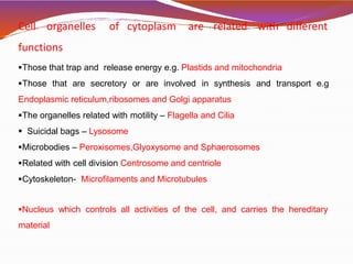 Cell organelles of cytoplasm are related with different
functions
Those that trap and release energy e.g. Plastids and mitochondria
Those that are secretory or are involved in synthesis and transport e.g
Endoplasmic reticulum,ribosomes and Golgi apparatus
The organelles related with motility – Flagella and Cilia
 Suicidal bags – Lysosome
Microbodies – Peroxisomes,Glyoxysome and Sphaerosomes
Related with cell division Centrosome and centriole
Cytoskeleton- Microfilaments and Microtubules
Nucleus which controls all activities of the cell, and carries the hereditary
material
 