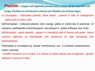 Plastids – Largest cell organelle present only in plant cell (Except BGA and
Fungi). Plastids are not found in animal cell. Plastids are of three types
a) Leucoplast – Colourless plastids, Store starch , present in cells of underground
parts such as tuber, roots
b)Chromoplast – Coloured plastids (red, orange, yellow or violet) due to presence of
carotene, xanthophylls and Anthocyanin, are present in petals of flowers and fruits
c)Chloroplast – green plastids , present in mesophyll cells of leaves and green stems
contains pigments as chlorophylls and carotenoid for light harvesting and
photosynthesis
Chloroplast is enveloped by double membranous sac. It encloses proteinaceous
matrix ( stroma).
Lamellar structure run in matrix, it is denser at certain places due to pigments (grana)
stacked in a group of many.
 