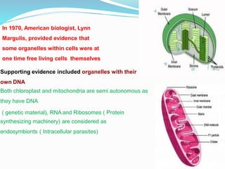 In 1970, American biologist, Lynn
Margulis, provided evidence that
some organelles within cells were at
one time free living cells themselves
Supporting evidence included organelles with their
own DNA
Both chloroplast and mitochondria are semi autonomous as
they have DNA
( genetic material), RNA and Ribosomes ( Protein
synthesizing machinery) are considered as
endosymbionts ( Intracellular parasites)
 