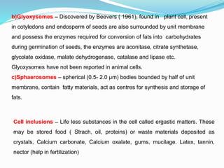 b)Glyoxysomes – Discovered by Beevers ( 1961), found in plant cell, present
in cotyledons and endosperm of seeds are also surrounded by unit membrane
and possess the enzymes required for conversion of fats into carbohydrates
during germination of seeds, the enzymes are aconitase, citrate synthetase,
glycolate oxidase, malate dehydrogenase, catalase and lipase etc.
Glyoxysomes have not been reported in animal cells.
c)Sphaerosomes – spherical (0.5- 2.0 µm) bodies bounded by half of unit
membrane, contain fatty materials, act as centres for synthesis and storage of
fats.
Cell inclusions – Life less substances in the cell called ergastic matters. These
may be stored food ( Strach, oil, proteins) or waste materials deposited as
crystals, Calcium carbonate, Calcium oxalate, gums, mucilage. Latex, tannin,
nector (help in fertilization)
 
