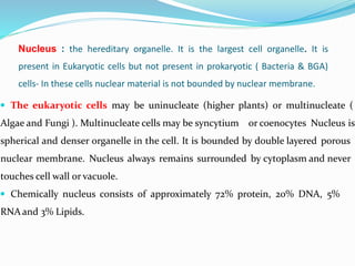 Nucleus : the hereditary organelle. It is the largest cell organelle. It is
present in Eukaryotic cells but not present in prokaryotic ( Bacteria & BGA)
cells- In these cells nuclear material is not bounded by nuclear membrane.
 The eukaryotic cells may be uninucleate (higher plants) or multinucleate (
Algae and Fungi ). Multinucleate cells may be syncytium or coenocytes Nucleus is
spherical and denser organelle in the cell. It is bounded by double layered porous
nuclear membrane. Nucleus always remains surrounded by cytoplasm and never
touches cell wall or vacuole.
 Chemically nucleus consists of approximately 72% protein, 20% DNA, 5%
RNAand 3% Lipids.
 