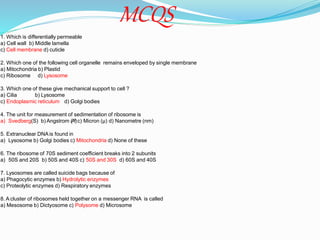 MCQS
1. Which is differentially permeable
a) Cell wall b) Middle lamella
c) Cell membrane d) cuticle
2. Which one of the following cell organelle remains enveloped by single membrane
a) Mitochondria b) Plastid
c) Ribosome d) Lysosome
3. Which one of these give mechanical support to cell ?
a) Cilia b) Lysosome
c) Endoplasmic reticulum d) Golgi bodies
4. The unit for measurement of sedimentation of ribosome is
a) Svedberg(S) b) Angstrom (A⁰)c) Micron (µ) d) Nanometre (nm)
5. Extranuclear DNA is found in
a) Lysosome b) Golgi bodies c) Mitochondria d) None of these
6. The ribosome of 70S sediment coefficient breaks into 2 subunits
a) 50S and 20S b) 50S and 40S c) 50S and 30S d) 60S and 40S
7. Lysosomes are called suicide bags because of
a) Phagocytic enzymes b) Hydrolytic enzymes
c) Proteolytic enzymes d) Respiratory enzymes
8. A cluster of ribosomes held together on a messenger RNA is called
a) Mesosome b) Dictyosome c) Polysome d) Microsome
 