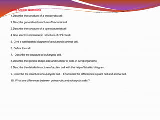 Long Answer Questions
1.Describe the structure of a prokaryotic cell
2.Describe generalised structure of bacterial cell
3.Describe the structure of a cyanobacterial cell
4.Give electron microscopic structure of PPLO cell.
5. Give a well labelled diagram of a eukaryotic animal cell.
6. Define the cell.
7. Describe the structure of eukaryotic cell.
8.Describe the general shape,size and number of cells in living organisms
8.Describe the detailed structure of a plant cell with the help of labelled diiagram.
9. Describe the structure of eukaryotic cell . Enumerate the differences in plant cell and animal cell.
10. What are differences between prokaryotic and eukaryotic cells ?
 