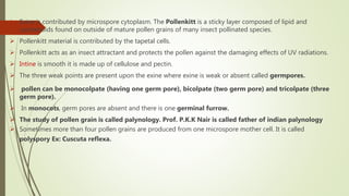  Exine is contributed by microspore cytoplasm. The Pollenkitt is a sticky layer composed of lipid and
carotenoids found on outside of mature pollen grains of many insect pollinated species.
 Pollenkitt material is contributed by the tapetal cells.
 Pollenkitt acts as an insect attractant and protects the pollen against the damaging effects of UV radiations.
 Intine is smooth it is made up of cellulose and pectin.
 The three weak points are present upon the exine where exine is weak or absent called germpores.
 pollen can be monocolpate (having one germ pore), bicolpate (two germ pore) and tricolpate (three
germ pore).
 In monocots, germ pores are absent and there is one germinal furrow.
 The study of pollen grain is called palynology. Prof. P.K.K Nair is called father of indian palynology
 Sometimes more than four pollen grains are produced from one microspore mother cell. It is called
polyspory Ex: Cuscuta reflexa.
 