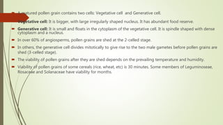  A matured pollen grain contains two cells: Vegetative cell and Generative cell.
 Vegetative cell: It is bigger, with large irregularly shaped nucleus. It has abundant food reserve.
 Generative cell: It is small and floats in the cytoplasm of the vegetative cell. It is spindle shaped with dense
cytoplasm and a nucleus.
 In over 60% of angiosperms, pollen grains are shed at the 2-celled stage.
 In others, the generative cell divides mitotically to give rise to the two male gametes before pollen grains are
shed (3-celled stage).
 The viability of pollen grains after they are shed depends on the prevailing temperature and humidity.
 Viability of pollen grains of some cereals (rice, wheat, etc) is 30 minutes. Some members of Leguminoseae,
Rosaceae and Solanaceae have viability for months.
 