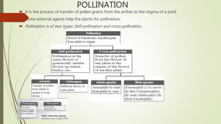 POLLINATION
 It is the process of transfer of pollen grains from the anther to the stigma of a pistil.
 Some external agents help the plants for pollination.
 Pollination is of two types: Self-pollination and cross pollination.
 