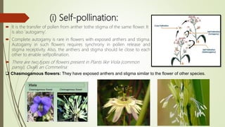 (i) Self-pollination:
 It is the transfer of pollen from anther tothe stigma of the same flower. It
is also ‘autogamy’.
 Complete autogamy is rare in flowers with exposed anthers and stigma.
Autogamy in such flowers requires synchrony in pollen release and
stigma receptivity. Also, the anthers and stigma should lie close to each
other to enable selfpollination.
 There are two types of flowers present in Plants like Viola (common
pansy), Oxalis an Commelina:
 Chasmogamous flowers: They have exposed anthers and stigma similar to the flower of other species.
 
