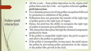 Pollen-pistil
interaction
 