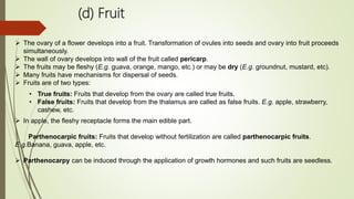 (d) Fruit
 The ovary of a flower develops into a fruit. Transformation of ovules into seeds and ovary into fruit proceeds
simultaneously.
 The wall of ovary develops into wall of the fruit called pericarp.
 The fruits may be fleshy (E.g. guava, orange, mango, etc.) or may be dry (E.g. groundnut, mustard, etc).
 Many fruits have mechanisms for dispersal of seeds.
 Fruits are of two types:
• True fruits: Fruits that develop from the ovary are called true fruits.
• False fruits: Fruits that develop from the thalamus are called as false fruits. E.g. apple, strawberry,
cashew, etc.
 In apple, the fleshy receptacle forms the main edible part.
Parthenocarpic fruits: Fruits that develop without fertilization are called parthenocarpic fruits.
E.g.Banana, guava, apple, etc.
 Parthenocarpy can be induced through the application of growth hormones and such fruits are seedless.
 