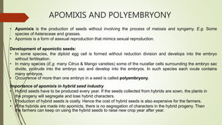 APOMIXIS AND POLYEMBRYONY
• Apomixis is the production of seeds without involving the process of meiosis and syngamy. E.g. Some
species of Asteraceae and grasses.
• Apomixis is a form of asexual reproduction that mimics sexual reproduction.
Development of apomictic seeds:
• In some species, the diploid egg cell is formed without reduction division and develops into the embryo
without fertilisation.
• In many species (E.g. many Citrus & Mango varieties) some of the nucellar cells surrounding the embryo sac
divide, protrude into the embryo sac and develop into the embryos. In such species each ovule contains
many embryos.
• Occurrence of more than one embryo in a seed is called polyembryony.
Importance of apomixis in hybrid seed industry
• Hybrid seeds have to be produced every year. If the seeds collected from hybrids are sown, the plants in
the progeny will segregate and lose hybrid characters.
• Production of hybrid seeds is costly. Hence the cost of hybrid seeds is also expensive for the farmers.
• If the hybrids are made into apomicts, there is no segregation of characters in the hybrid progeny. Then
the farmers can keep on using the hybrid seeds to raise new crop year after year.
 