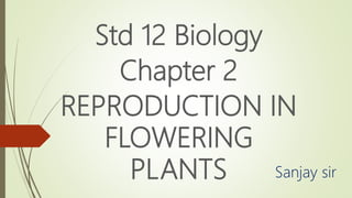 Std 12 Biology
Chapter 2
REPRODUCTION IN
FLOWERING
PLANTS Sanjay sir
 
