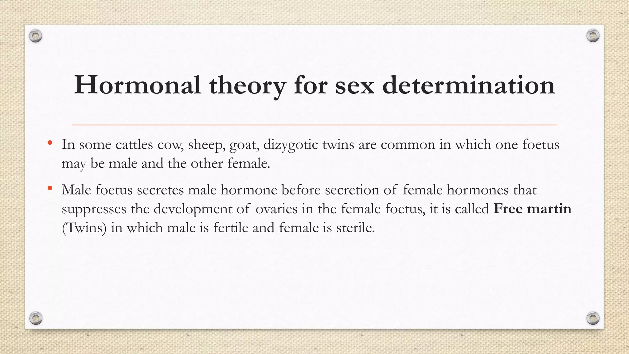 Hormonal theory for sex determination
• In some cattles cow, sheep, goat, dizygotic twins are common in which one foetus
may be male and the other female.
• Male foetus secretes male hormone before secretion of female hormones that
suppresses the development of ovaries in the female foetus, it is called Free martin
(Twins) in which male is fertile and female is sterile.
 