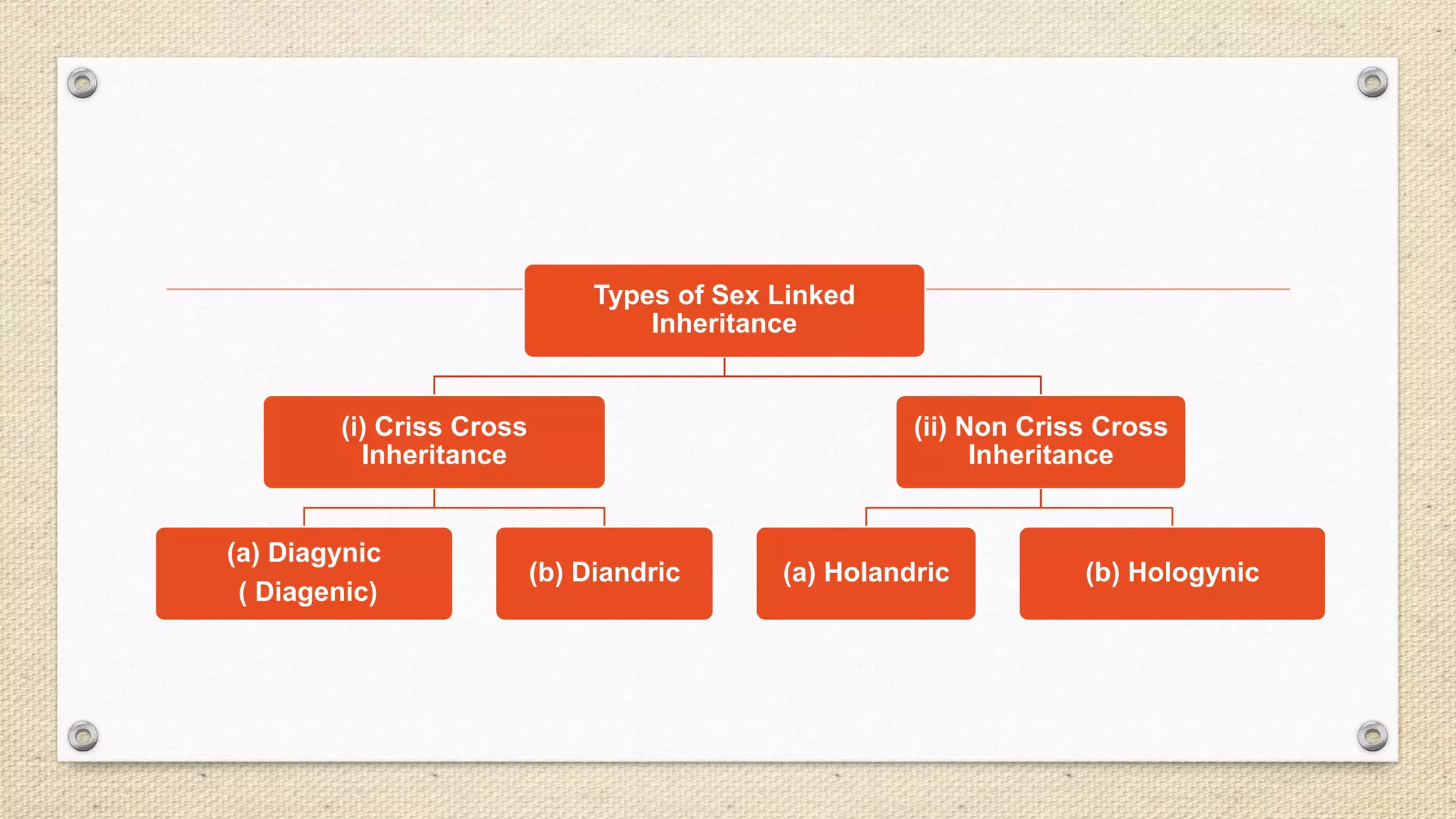 Types of Sex Linked
Inheritance
(i) Criss Cross
Inheritance
(a) Diagynic
( Diagenic)
(b) Diandric
(ii) Non Criss Cross
Inheritance
(a) Holandric (b) Hologynic
 