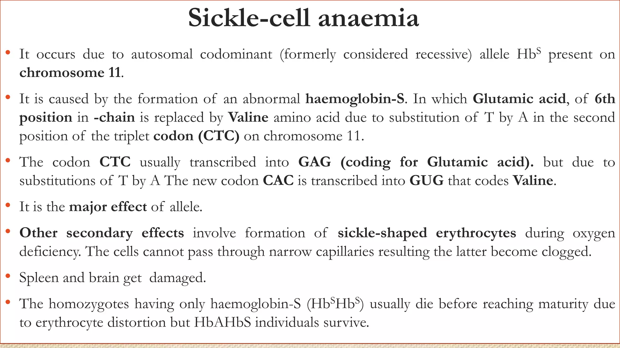 Sickle-cell anaemia
• It occurs due to autosomal codominant (formerly considered recessive) allele HbS present on
chromosome 11.
• It is caused by the formation of an abnormal haemoglobin-S. In which Glutamic acid, of 6th
position in -chain is replaced by Valine amino acid due to substitution of T by A in the second
position of the triplet codon (CTC) on chromosome 11.
• The codon CTC usually transcribed into GAG (coding for Glutamic acid). but due to
substitutions of T by A The new codon CAC is transcribed into GUG that codes Valine.
• It is the major effect of allele.
• Other secondary effects involve formation of sickle-shaped erythrocytes during oxygen
deficiency. The cells cannot pass through narrow capillaries resulting the latter become clogged.
• Spleen and brain get damaged.
• The homozygotes having only haemoglobin-S (HbSHbS) usually die before reaching maturity due
to erythrocyte distortion but HbAHbS individuals survive.
 
