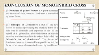 CONCLUSION OF MONOHYBRID CROSS
• (I) Principle of paired Factors : A plant possesses
two factors of each character. Each trait is controlled
by a unit factor.
• (II) Principle of Dominance : Out of the two
factors or alleles representing the alternate form of a
trait, one is dominant and expresses it self in the
hybrid of F1 generation. The other factor or allele is
recessive and does not show its effect. It is called the
‘Mendel’s law of dominance’. The factor of
dominant character is denoted by capital letter and the
factor of recessive character is denoted by small letter.
 