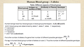 Human Blood group - 3 alleles
 