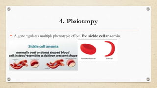4. Pleiotropy
• A gene regulates multiple phenotypic effect. Ex: sickle cell anaemia.
 