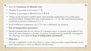 • Thus the Conclusion of dihybrid cross
• Number of genotype in any cross is = 3n
• Number of genotypes in dihybrid cross = 32 = 9
• Yellow round and green wrinkled plants show parental combinations (9+1) while green
round and yeIIow wrinkled show new combinations (3 + 3 = 6). The ratio between parental
combination and new combination is 5 : 3.
• So 62.5%Parental combination and 37.5% new combination are obtained.
• Law of Independent assortment :
• Mendel concluded that the two factors of a character assort or separate independent of the
factors of other characters at the time of gamete formation and get randomly rearranged in
the offsprings. It is called the ‘Law of Independent assortment’.
• Objection :
• This law is applicable to only those factors or genes which are either situated distantly on the
same chromosome or occur on different chromosomes.
 