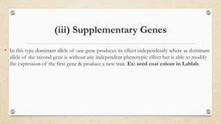 (iii) Supplementary Genes
• In this type dominant allele of one gene produces its effect independently where as dominant
allele of the second gene is without any independent phenotypic effect but is able to modify
the expression of the first gene & produce a new trait. Ex: seed coat colour in Lablab.
 