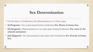 Sex Determination
• On the basis of fertilization, Sex Determination is of three types.
• (i) Progamic : Sex is determined before fertlization Ex: Drone in honey bee.
• (ii) Syngamic : Determination of sex takes place during fertilization Ex: most of the
animals and plants
• (iii) Epigamic : Sex determination takes place after fertilization Ex: Female in honey
bee.
 