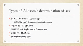 Types of Allosomic determination of sex
• (i) XX—XY type or Lygaeus type
(XX - XY type) Sex determination in plants
• .
• .
• .
• .
 