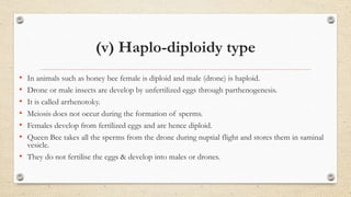 (v) Haplo-diploidy type
• In animals such as honey bee female is diploid and male (drone) is haploid.
• Drone or male insects are develop by unfertilized eggs through parthenogenesis.
• It is called arrhenotoky.
• Meiosis does not occur during the formation of sperms.
• Females develop from fertilized eggs and are hence diploid.
• Queen Bee takes all the sperms from the drone during nuptial flight and stores them in saminal
vesicle.
• They do not fertilise the eggs & develop into males or drones.
 