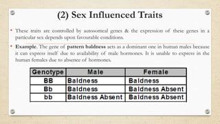 (2) Sex Influenced Traits
• These traits are controlled by autosomeal genes & the expression of these genes in a
particular sex depends upon favourable conditions.
• Example. The gene of pattern baldness acts as a dominant one in human males because
it can express itself due to availability of male hormones. It is unable to express in the
human females due to absence of hormones.
 