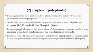 (2) Euploid (polyploidy)
• If an organism has more than two sets of chromosomes, It is called Polyploid this
phenomenon is called polyploidy.
• On the basis of occurence of number of genome, polyploid is called triploid (3n),
tetraploid (4n), Pentaplaoid (5n), Hexaploid (6n) etc.
• In nature, polyploidy appears due to the failure of chromosomes to separate at the time of
anaphase either due to nondisuction or due to no formation of spindle.
• Polyploids with odd number of genomes (Ex: triploids, pentaploids) are sexually sterile.
so that they perform reproduction by vegetative propagation Ex: Banana, Pineapple.
 